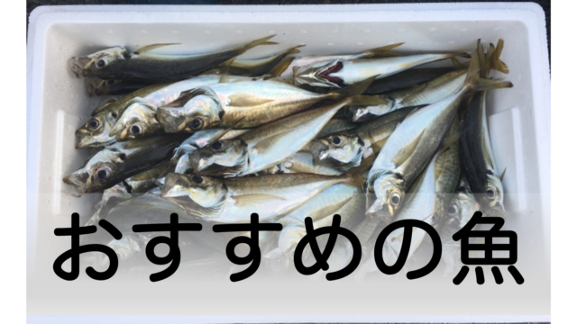 海で釣れる代表的な魚を解説 釣り初心者におすすめの狙い方も併せて紹介 釣り人の入口