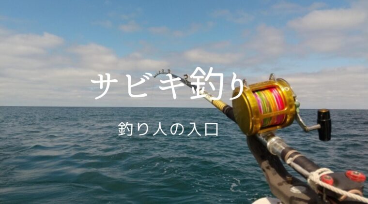 サビキ釣り